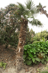 Similar image 5836456