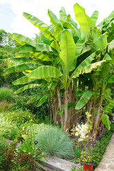 Similar image 5836460