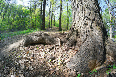 Similar image 5836464