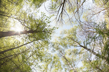 Similar image 5836473