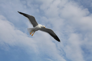 Similar image 5836520