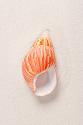 Similar image 5836767