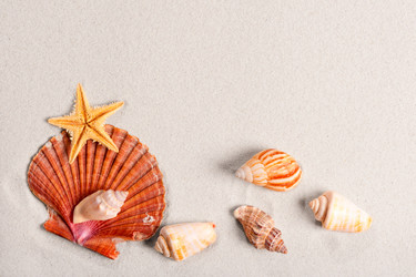 Similar image 5836768