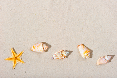 Similar image 5836778