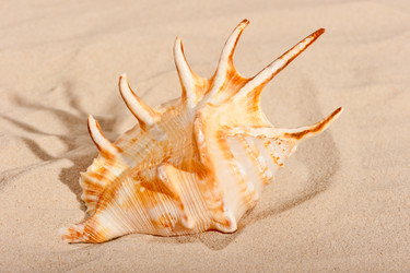 Similar image 5836787