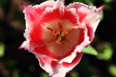 Similar image 5837203