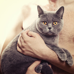 Similar image 5837204