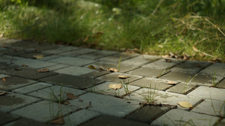 Similar image 5837240