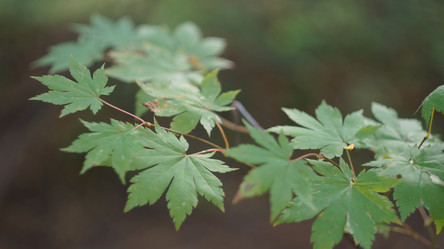 Similar image 5844404