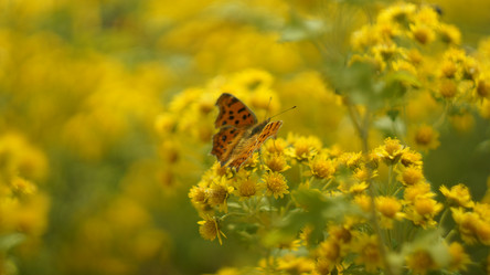 Similar image 5844405