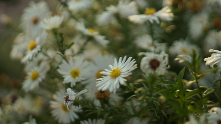 Similar image 5844406