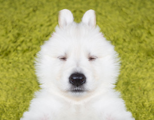 Similar image 5844425