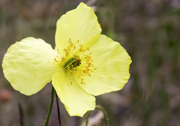 Similar image 5844444