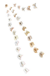 Similar image 5844533