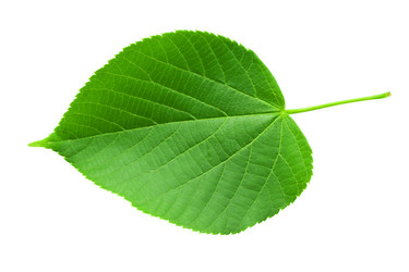 Similar image 5844968