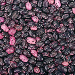 Similar image 5845821