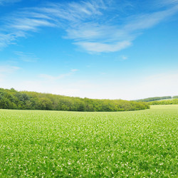 Similar image 5845822