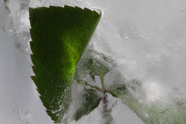 Similar image 5846318