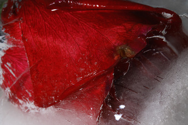 Similar image 5846319