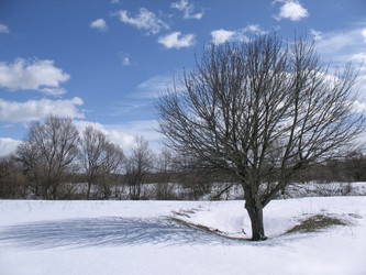 Similar image 5846599