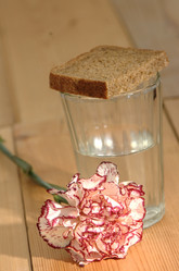 Similar image 5846607