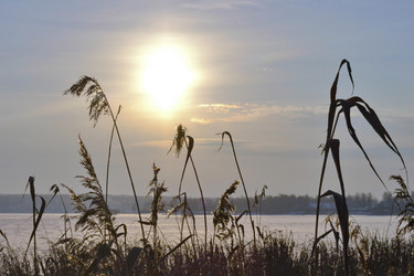 Similar image 5846714