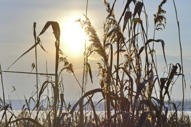 Similar image 5846716