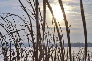 Similar image 5846717