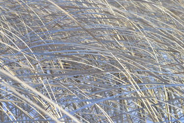 Similar image 5846719