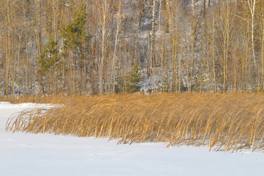 Similar image 5846721