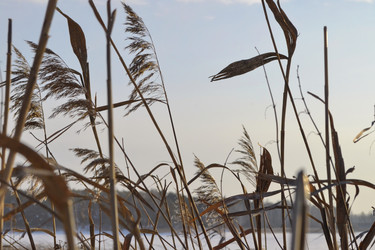 Similar image 5846722