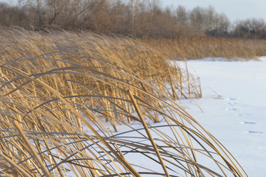 Similar image 5846723