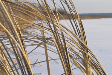 Similar image 5846724