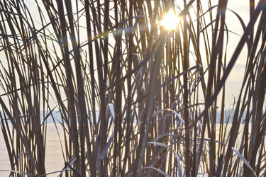 Similar image 5846725