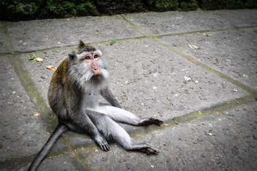 Similar image 5846779