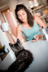 Similar image 5846999