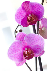 Similar image 5847273