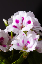 Similar image 5847275