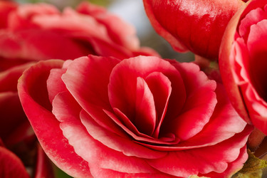 Similar image 5847286