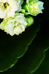 Similar image 5847308