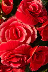 Similar image 5847309