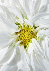 Similar image 5847312