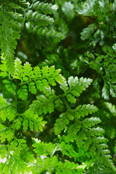 Similar image 5847314