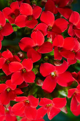 Similar image 5847315