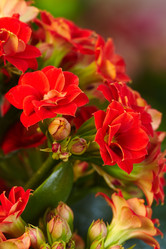 Similar image 5847317