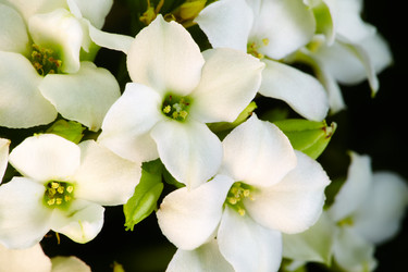 Similar image 5847318