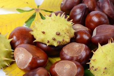 Similar image 5847756