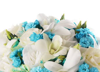 Similar image 5847964