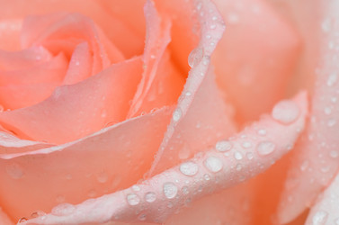 Similar image 5847992