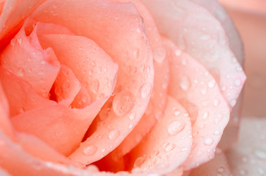 Similar image 5847993